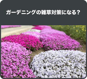 ガーデニングの雑草対策になる？