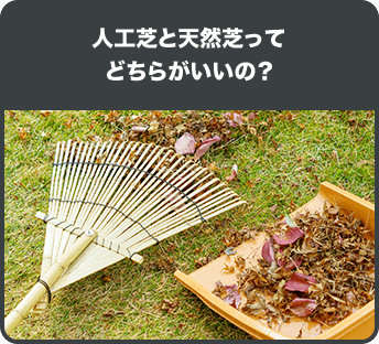 人工芝と天然芝って どちらがいいの？